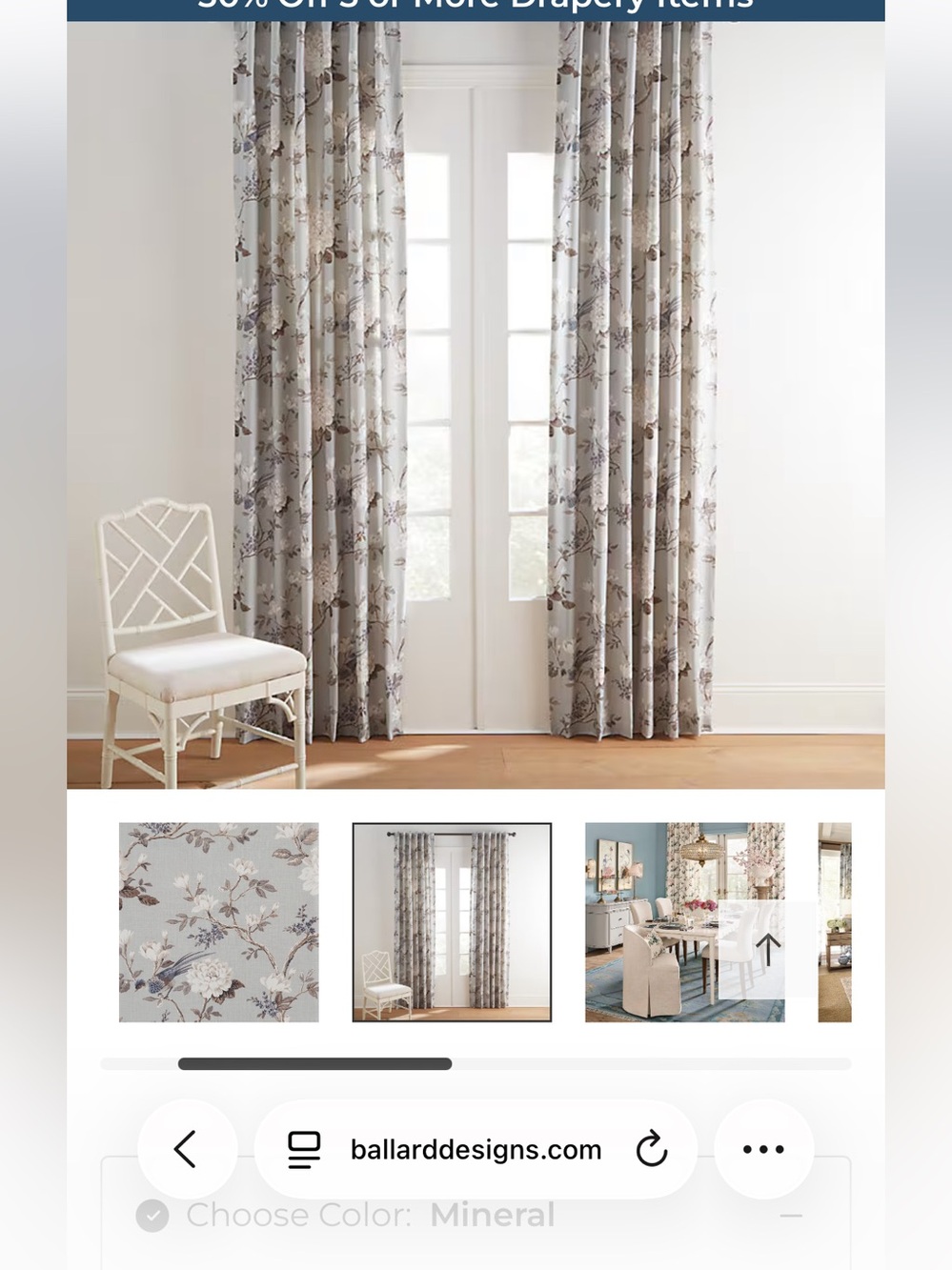 Ballard Designs Drapery Panels in Etta Floral